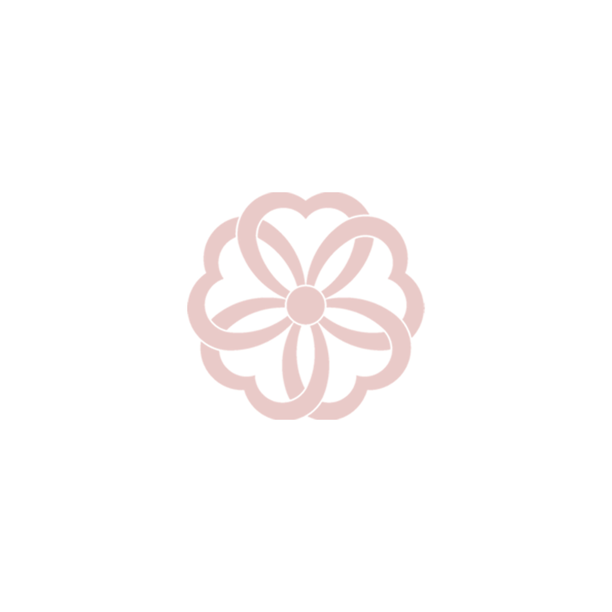 令和8年　日立桜詣について